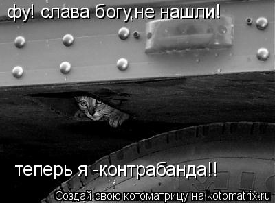 Котоматрица: фу! слава богу,не нашли!  теперь я -контрабанда!!