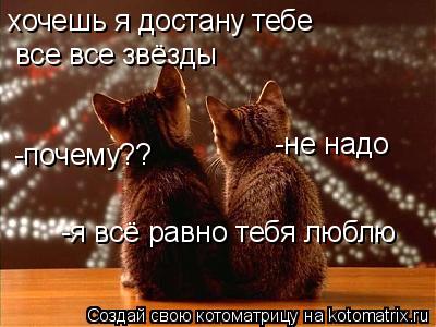 Котоматрица: хочешь я достану тебе все все звёзды -не надо -почему?? -я всё равно тебя люблю