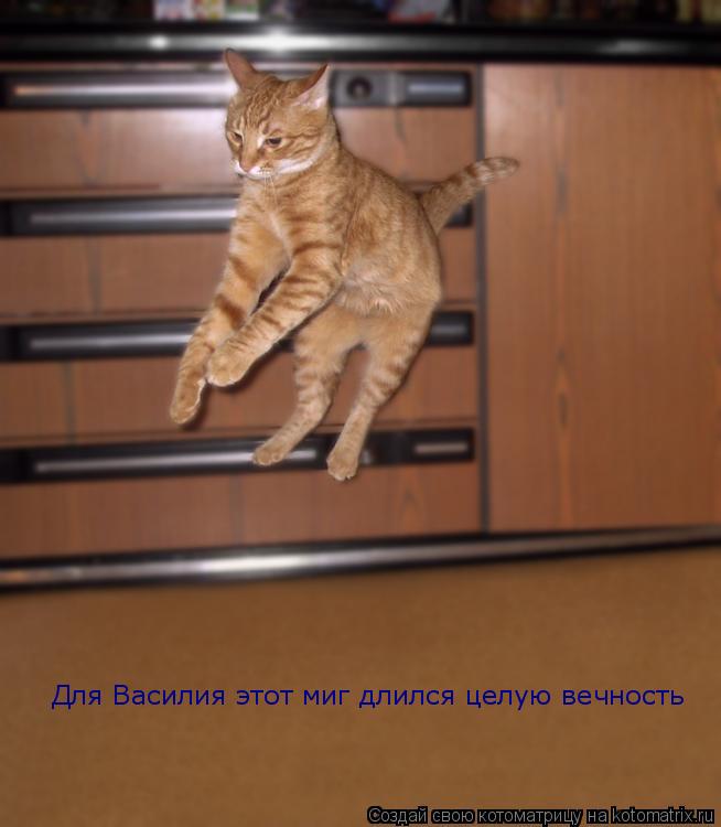 Для Василия этот миг длился целую вечность... Котоматрица: Для Василия этот миг длился целую вечность