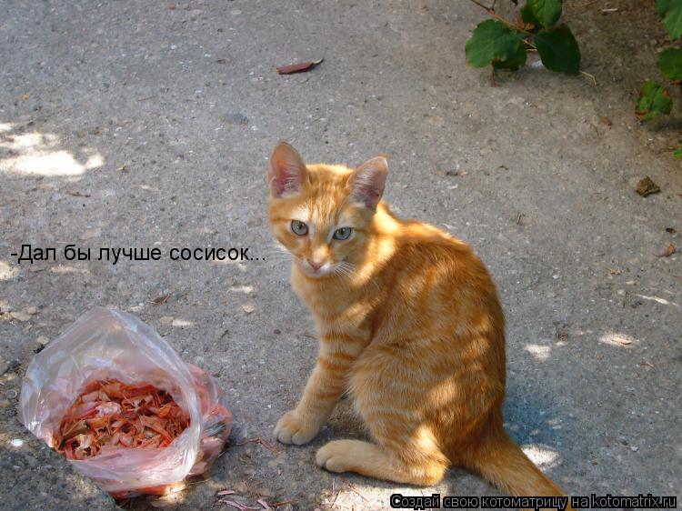 Котоматрица: -Дал бы лучше сосисок...