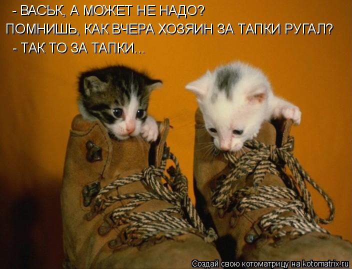 Котоматрица: - ВАСЬК, А МОЖЕТ НЕ НАДО?  ПОМНИШЬ, КАК ВЧЕРА ХОЗЯИН ЗА ТАПКИ РУГАЛ?  - ТАК ТО ЗА ТАПКИ...