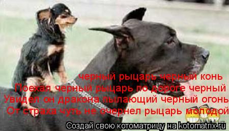 Котоматрица: черный рыцарь черный конь Поехал черный рыцарь по дороге черный Увидел он дракона пылающий черный огонь От страха чуть не очернел рыцарь м