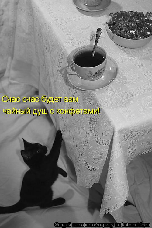 Котоматрица: Счас счас будет вам чайный душ с конфетами!