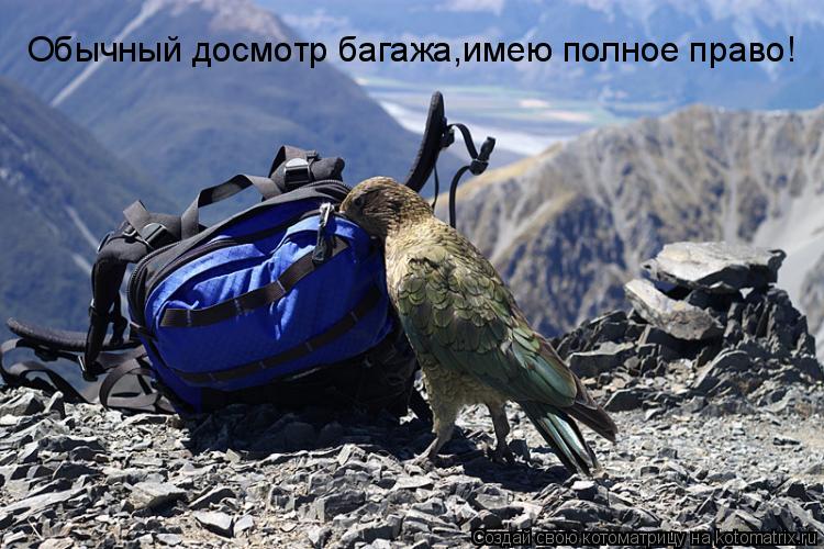 Котоматрица: Обычный досмотр багажа,имею полное право!