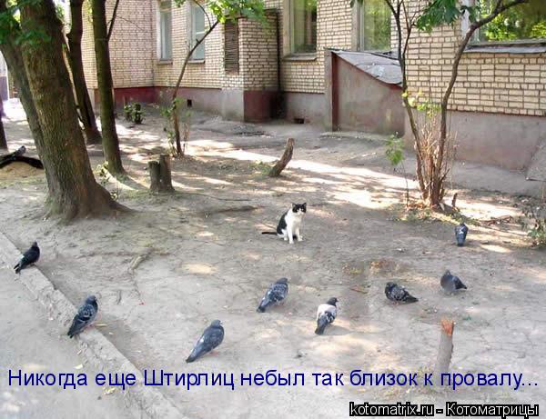 Никогда еще Штирлиц небыл так близок к провалу...... Котоматрица: Никогда еще Штирлиц небыл так близок к провалу...