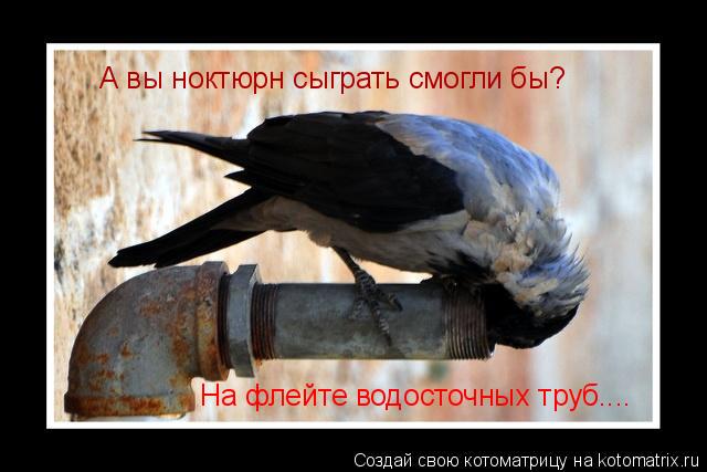 А вы ноктюрн сыграть смогли бы? На флейте водосточных труб....... Котоматрица: А вы ноктюрн сыграть смогли бы? На флейте водосточных труб....