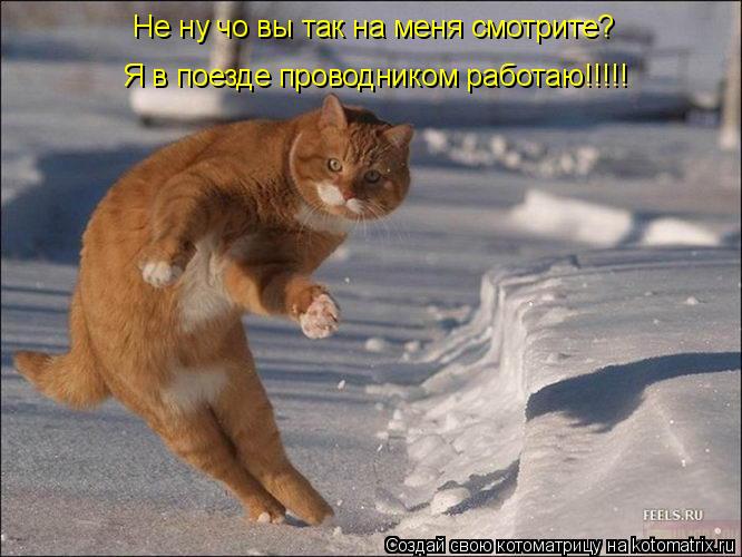 Я в поезде проводником работаю!!!!! Не ну чо вы так на меня смотрите?... Котоматрица: Я в поезде проводником работаю!!!!! Не ну чо вы так на меня смотрите?