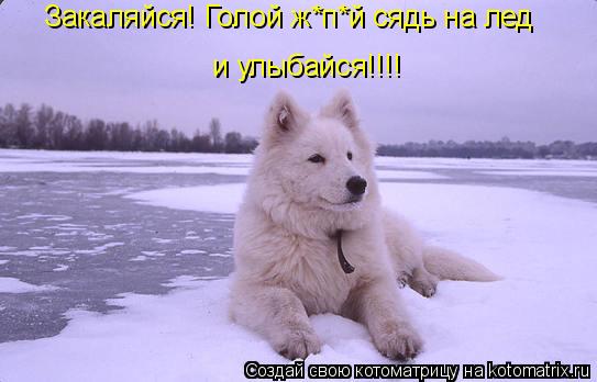 Закаляйся! Голой ж*п*й сядь на лед и улыбайся!!!!... Котоматрица: Закаляйся! Голой ж*п*й сядь на лед и улыбайся!!!!