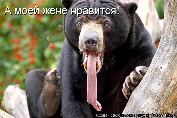 А моей жене нравится!... Котоматрица: А моей жене нравится!