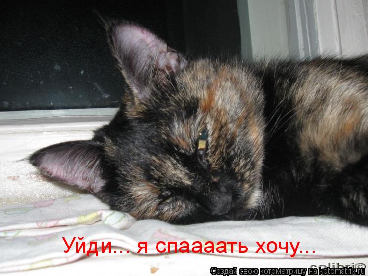 Котоматрица: Уйди... я спаааать хочу...