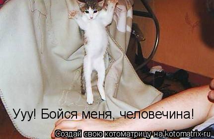 Котоматрица: Ууу! Бойся меня, человечина!
