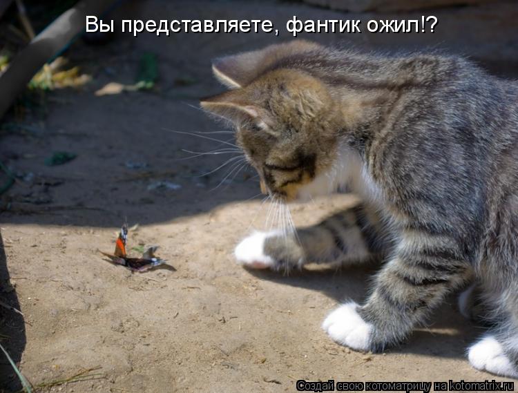 Вы представляете, фантик ожил!?... Котоматрица: Вы представляете, фантик ожил!?