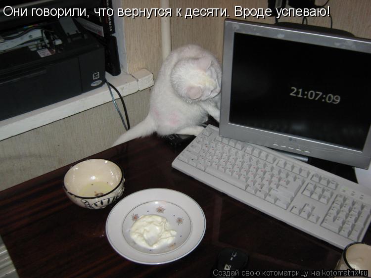 Котоматрица: Они говорили, что вернутся к десяти. Вроде успеваю!