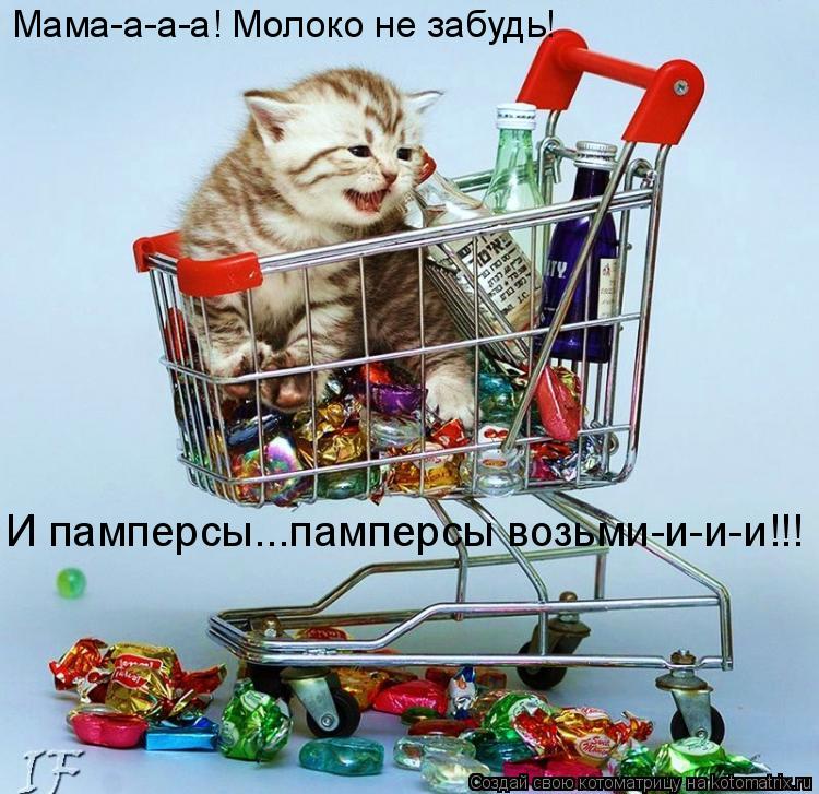 Мама-а-а-а! Молоко не забудь! И памперсы...памперсы возьми-и-и-и!!!... Котоматрица: Мама-а-а-а! Молоко не забудь! И памперсы...памперсы возьми-и-и-и!!!