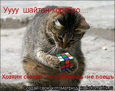 Котоматрица: Уууу  шайтан-коробко....   Хозяин сказал "не соберёшь -не поешь"