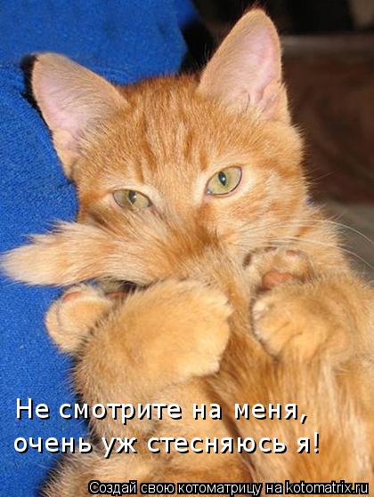 Котоматрица: Не смотрите на меня, очень уж стесняюсь я!