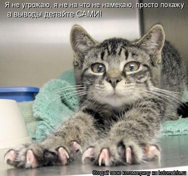 Я не угрожаю, я не на что не намекаю, просто покажу а выводы делайте САМИ!... Котоматрица: Я не угрожаю, я не на что не намекаю, просто покажу а выводы делайте САМИ!