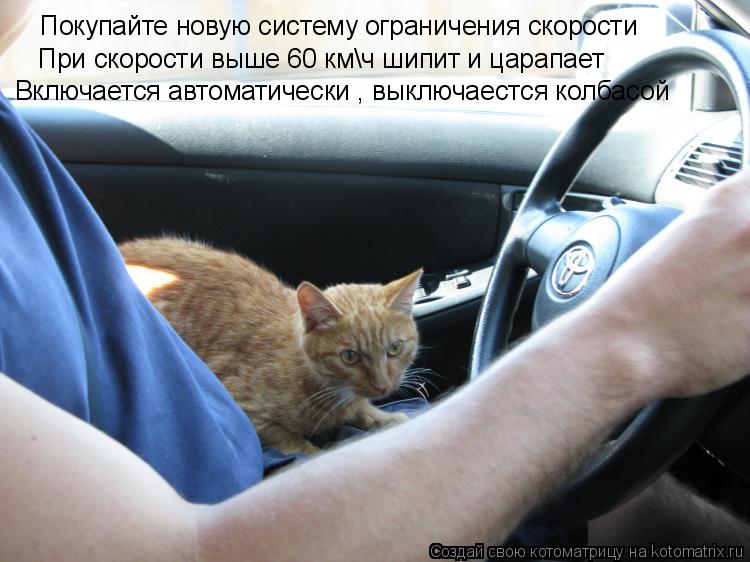 Котоматрица: Покупайте новую систему ограничения скорости  При скорости выше 60 кмч шипит и царапает  Включается автоматически , выключаестся колбасой