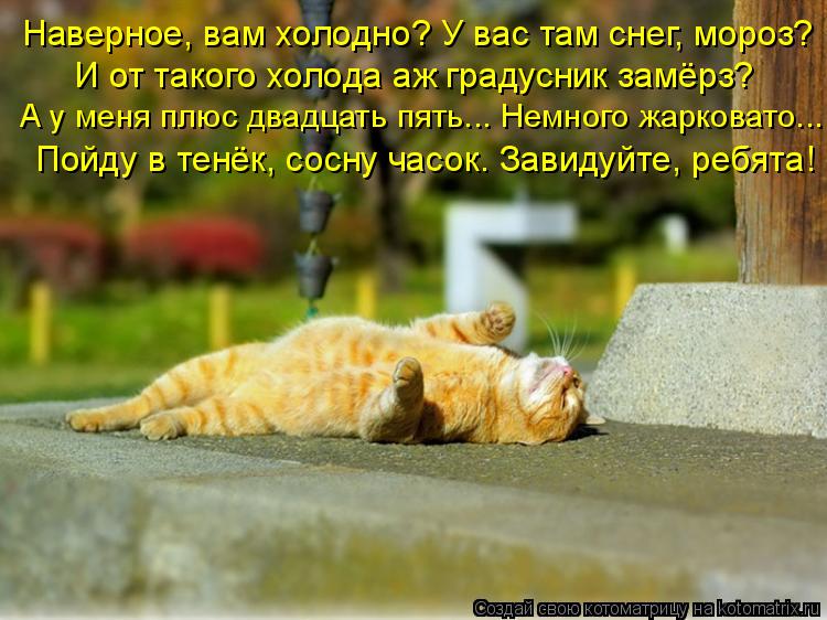 Наверное, вам холодно? У вас там снег, мороз? И от такого холода аж градусник замёрз? А у меня плюс д... Котоматрица: Наверное, вам холодно? У вас там снег, мороз? И от такого холода аж градусник замёрз? А у меня плюс двадцать пять... Немного жарковато... Пойду в