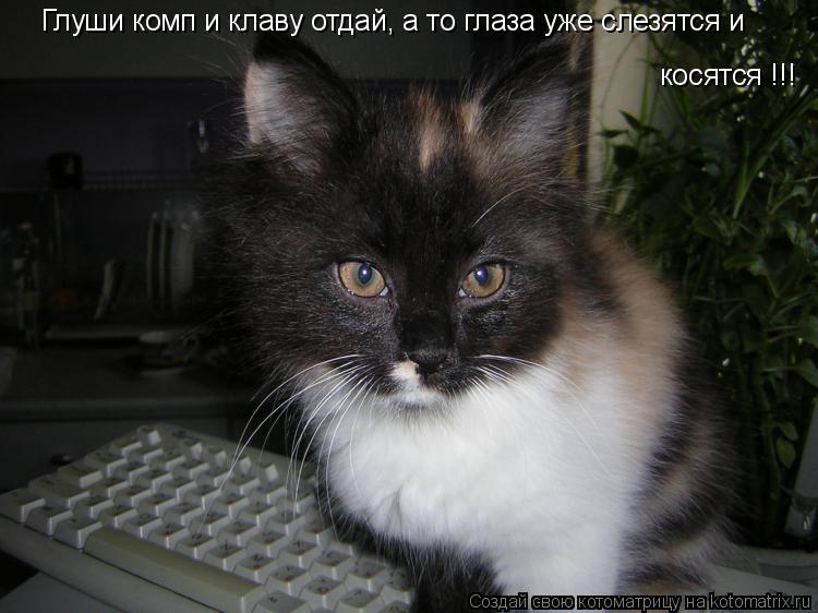 Котоматрица: Глуши комп и клаву отдай, а то глаза уже слезятся и косятся !!!
