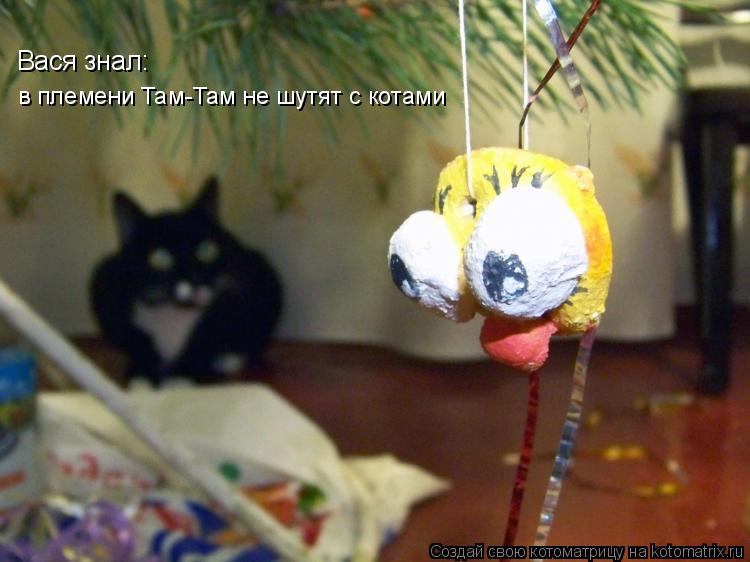 Котоматрица: в племени Там-Там не шутят с котами Вася знал: