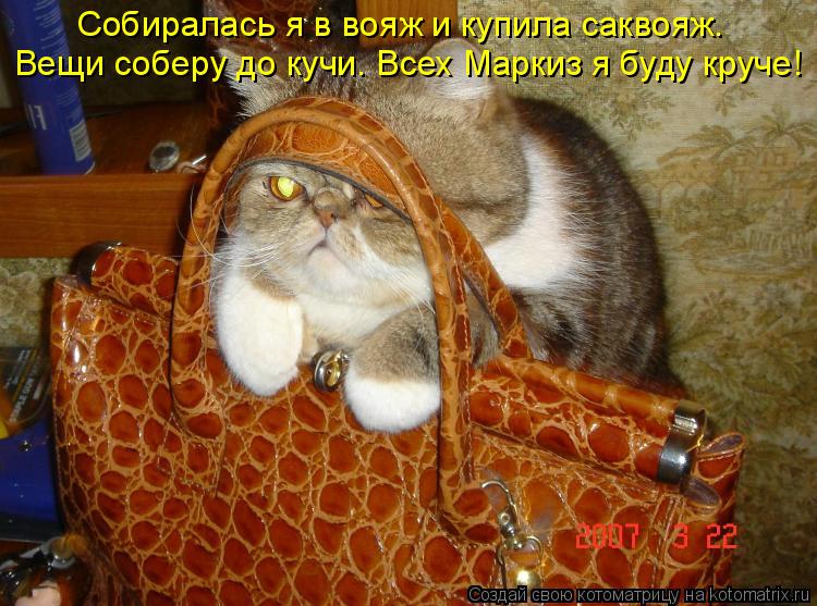 Котоматрица: Собиралась я в вояж и купила саквояж. Вещи соберу до кучи. Всех Маркиз я буду круче!