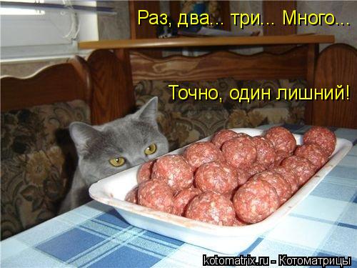 Раз, два... три... Много... Точно, один лишний!... Котоматрица: Раз, два... три... Много... Точно, один лишний!