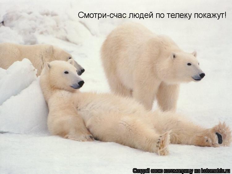 Котоматрица: Смотри-счас людей по телеку покажут!