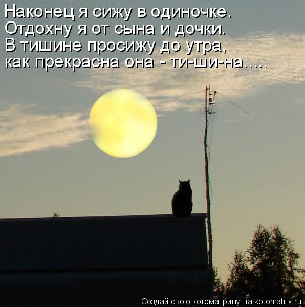 Котоматрица: Наконец я сижу в одиночке. Отдохну я от сына и дочки. В тишине просижу до утра, как прекрасна она - ти-ши-на.....