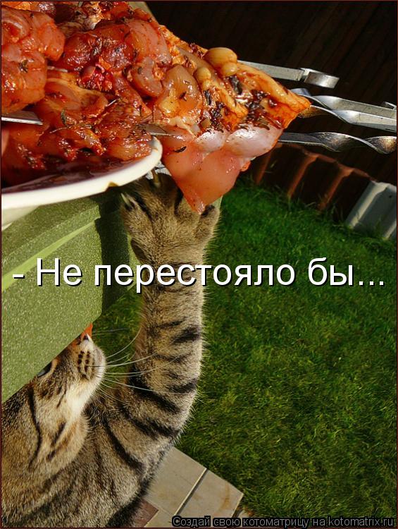 Котоматрица: - Не перестояло бы...