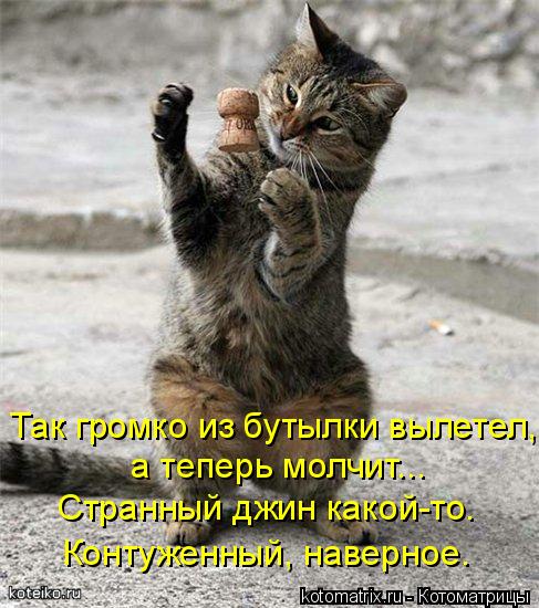 Котоматрица: Так громко из бутылки вылетел, а теперь молчит... Странный джин какой-то. Контуженный, наверное.
