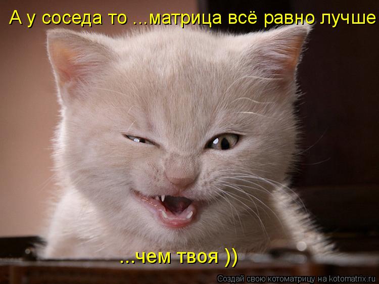 Котоматрица: А у соседа то ...матрица всё равно лучше ...чем твоя ))