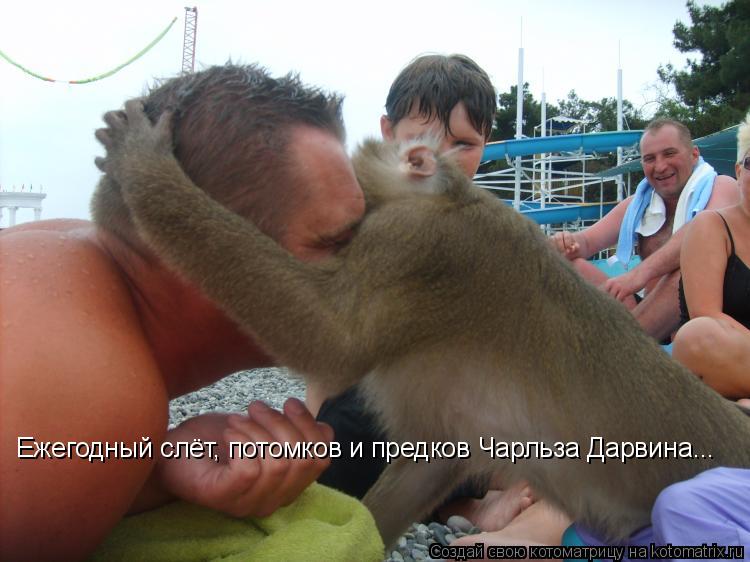 Ежегодный слёт, потомков и предков Чарльза Дарвина...... Котоматрица: Ежегодный слёт, потомков и предков Чарльза Дарвина...