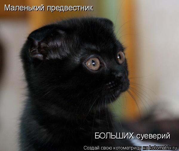 Маленький предвестник БОЛЬШИХ суеверий... Котоматрица: Маленький предвестник БОЛЬШИХ суеверий