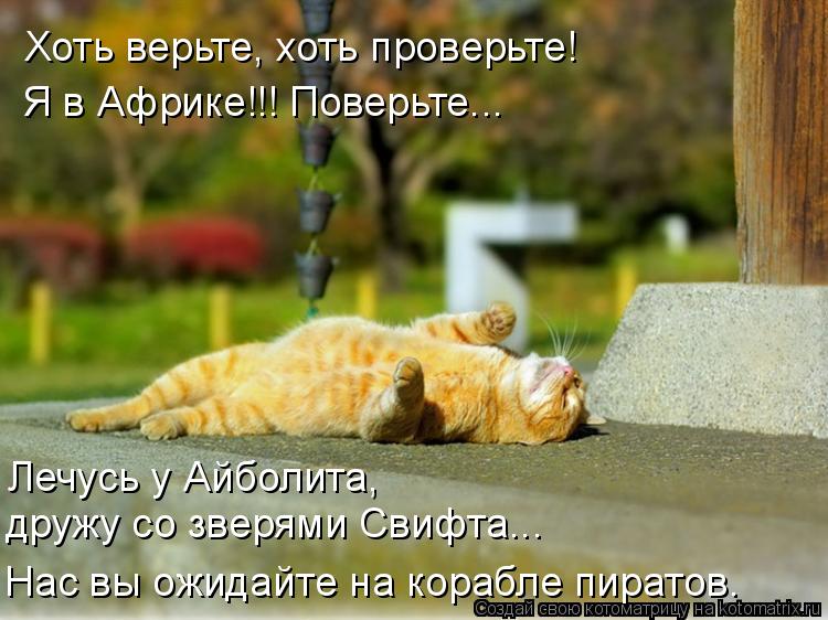 Котоматрица: Хоть верьте, хоть проверьте! Я в Африке!!! Поверьте... Лечусь у Айболита,  дружу со зверями Свифта... Нас вы ожидайте на корабле пиратов.