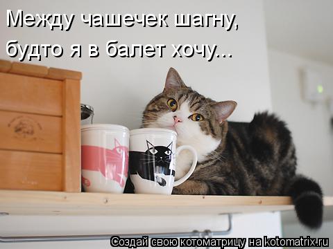 Котоматрица: Между чашечек шагну, будто я в балет хочу...