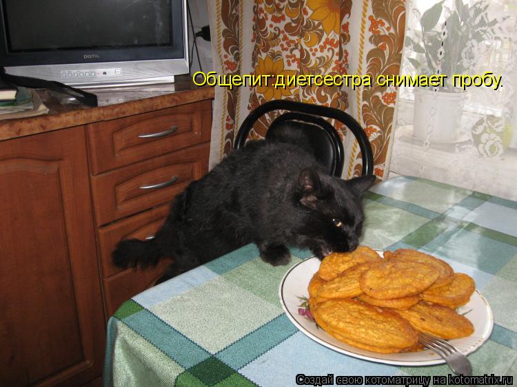 Котоматрица: Общепит:диетсестра снимает пробу.
