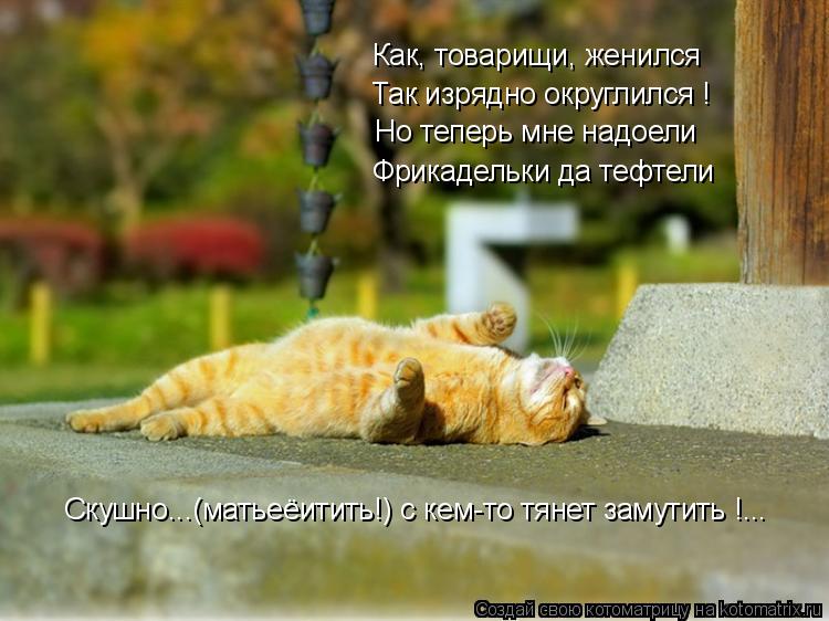 Котоматрица: Как, товарищи, женился Так изрядно округлился ! Но теперь мне надоели Фрикадельки да тефтели Скушно...(матьеёитить!) с кем-то тянет замутить !.