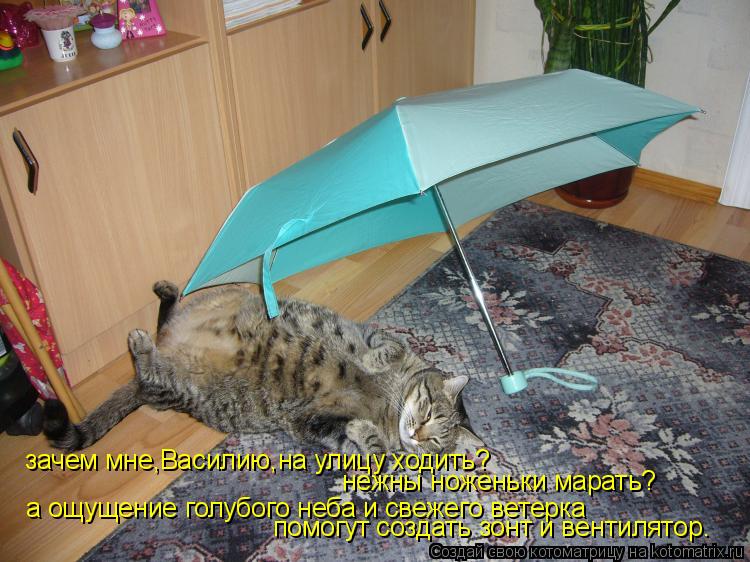 Котоматрица: зачем мне,Василию,на улицу ходить? а ощущение голубого неба и свежего ветерка нежны ноженьки марать? помогут создать зонт и вентилятор.