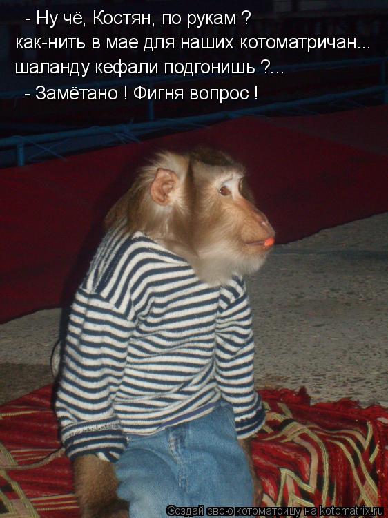 Котоматрица: - Ну чё, Костян, по рукам ? как-нить в мае для наших котоматричан... шаланду кефали подгонишь ?... - Замётано ! Фигня вопрос !