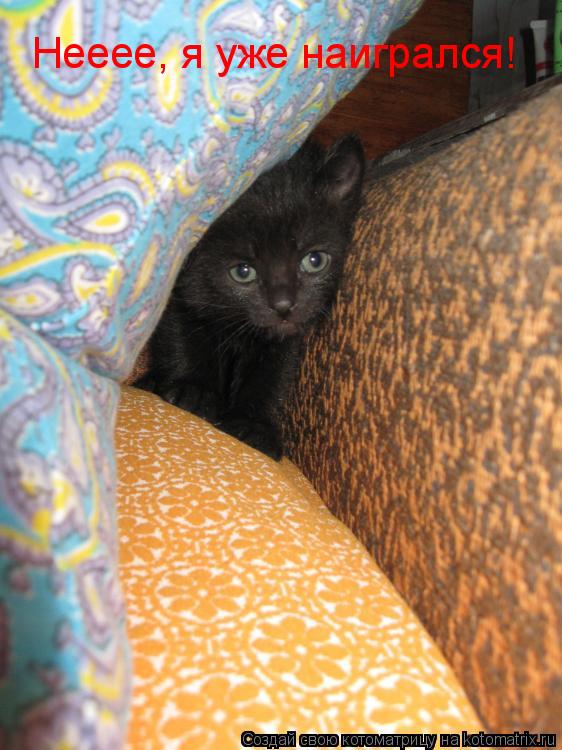 Котоматрица: Нееее, я уже наигрался!