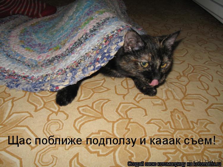 Щас поближе подползу и кааак съем!... Котоматрица: Щас поближе подползу и кааак съем!