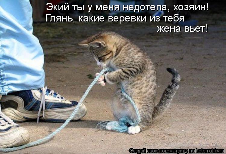 Экий ты у меня недотепа, хозяин! Глянь, какие веревки из тебя жена вьет!... Котоматрица: Экий ты у меня недотепа, хозяин! Глянь, какие веревки из тебя жена вьет!