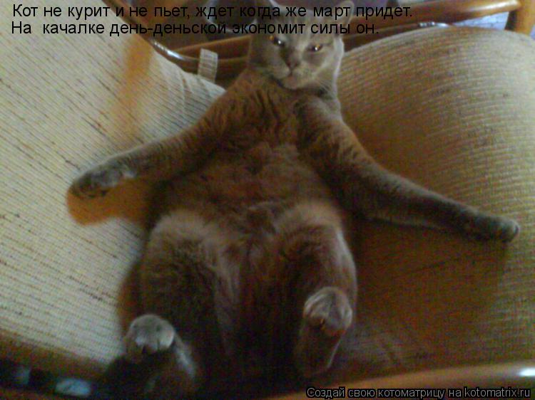Котоматрица: Кот не курит и не пьет, ждет когда же март придет.   На  качалке день-деньской экономит силы он.