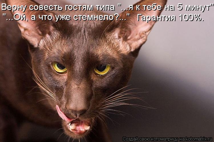 Котоматрица: Верну совесть гостям типа "...я к тебе на 5 минут". "...Ой, а что уже стемнело?..." Гарантия 100%.