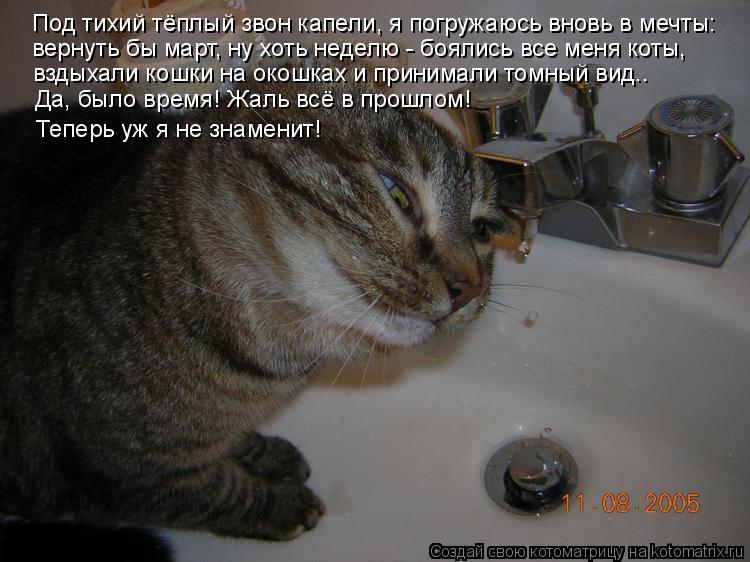 Под тихий тёплый звон капели, я погружаюсь вновь в мечты: вернуть бы март, ну хоть неделю - боялись в... Котоматрица: Под тихий тёплый звон капели, я погружаюсь вновь в мечты: вернуть бы март, ну хоть неделю - боялись все меня коты, вздыхали кошки на окошках и