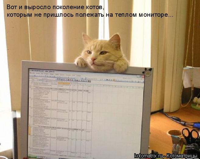 Вот и выросло поколение котов, которым не пришлось полежать на теплом мониторе...... Котоматрица: Вот и выросло поколение котов, которым не пришлось полежать на теплом мониторе...