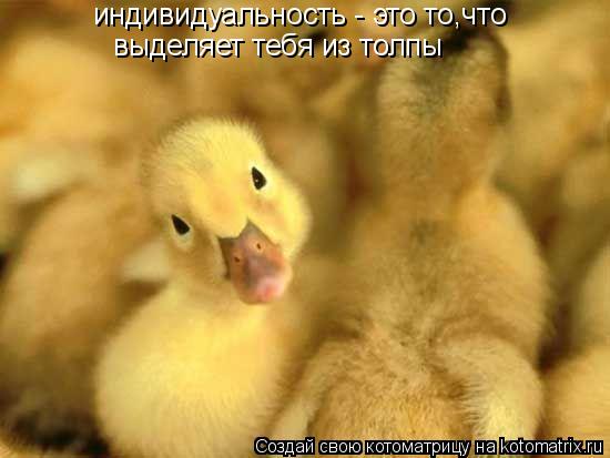 Котоматрица: индивидуальность - это то,что выделяет тебя из толпы