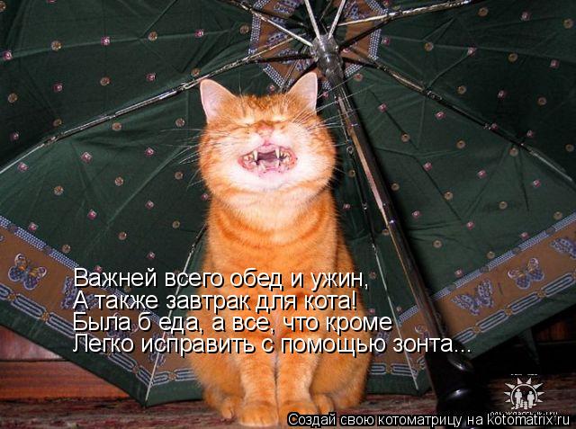 Котоматрица: Важней всего обед и ужин, А также завтрак для кота! Была б еда, а все, что кроме Легко исправить с помощью зонта...
