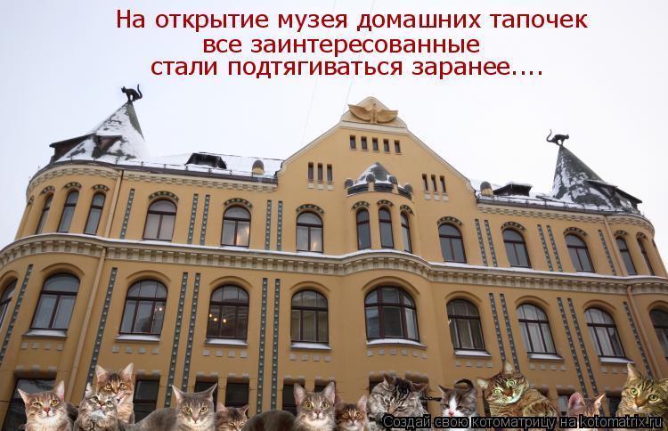 На открытие музея домашних тапочек все заинтересованные стали подтягиваться заранее....... Котоматрица: На открытие музея домашних тапочек все заинтересованные стали подтягиваться заранее....
